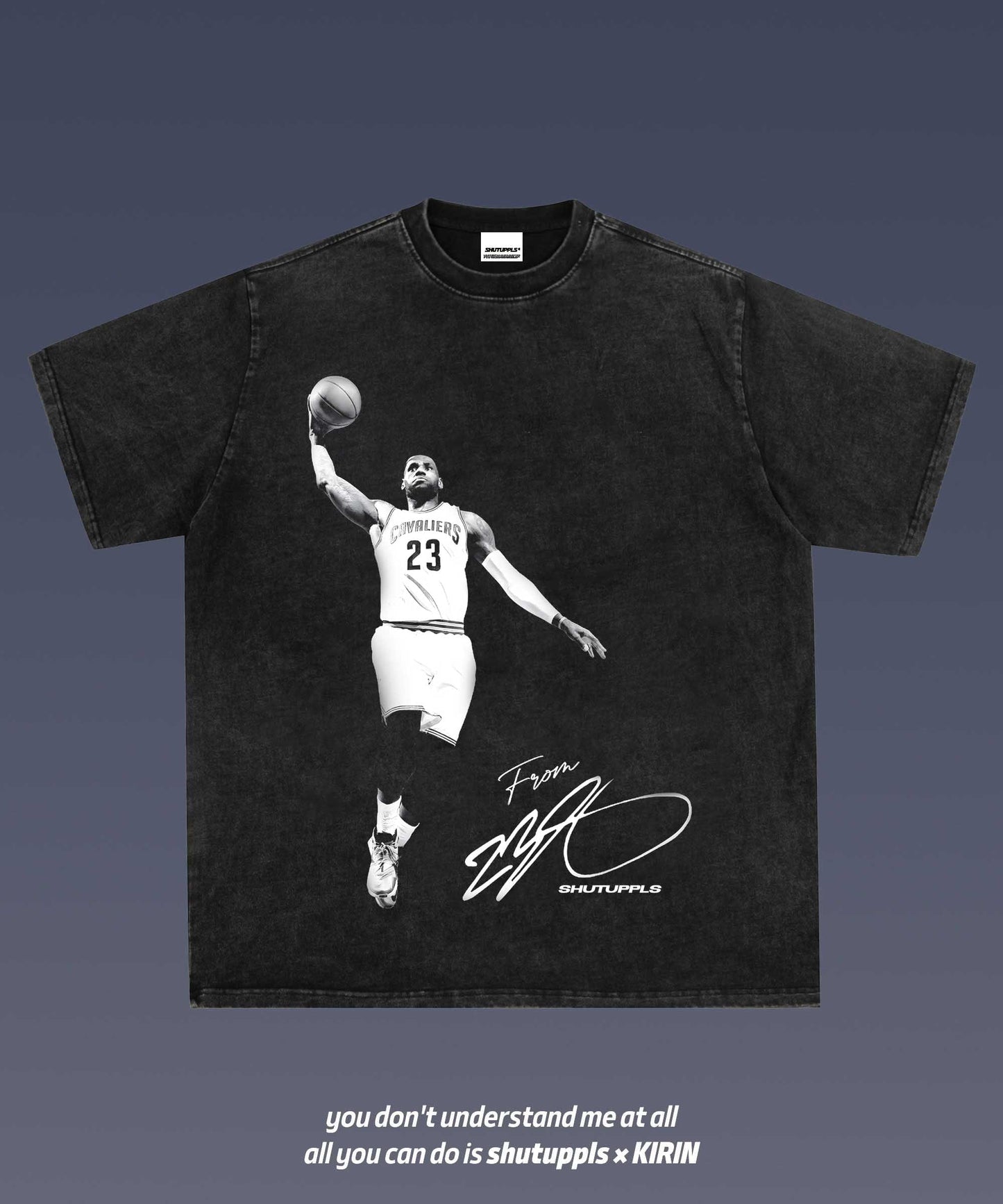 SHUTUPPLS 20TH SEASON LEBRON JAMES 4.9