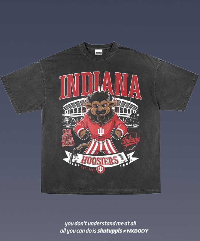 INDIANA GRAPHIC TEE 1.1