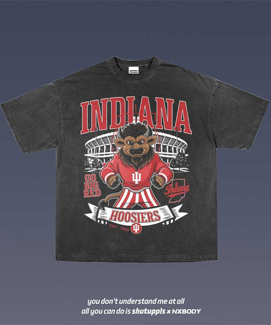 INDIANA GRAPHIC TEE 1.1