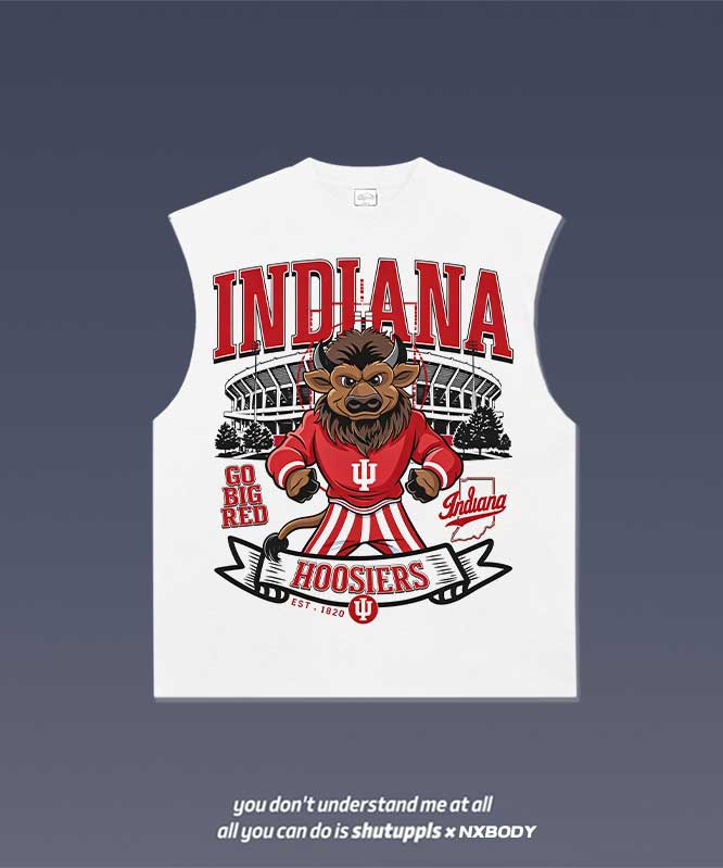 INDIANA TANK 1.1